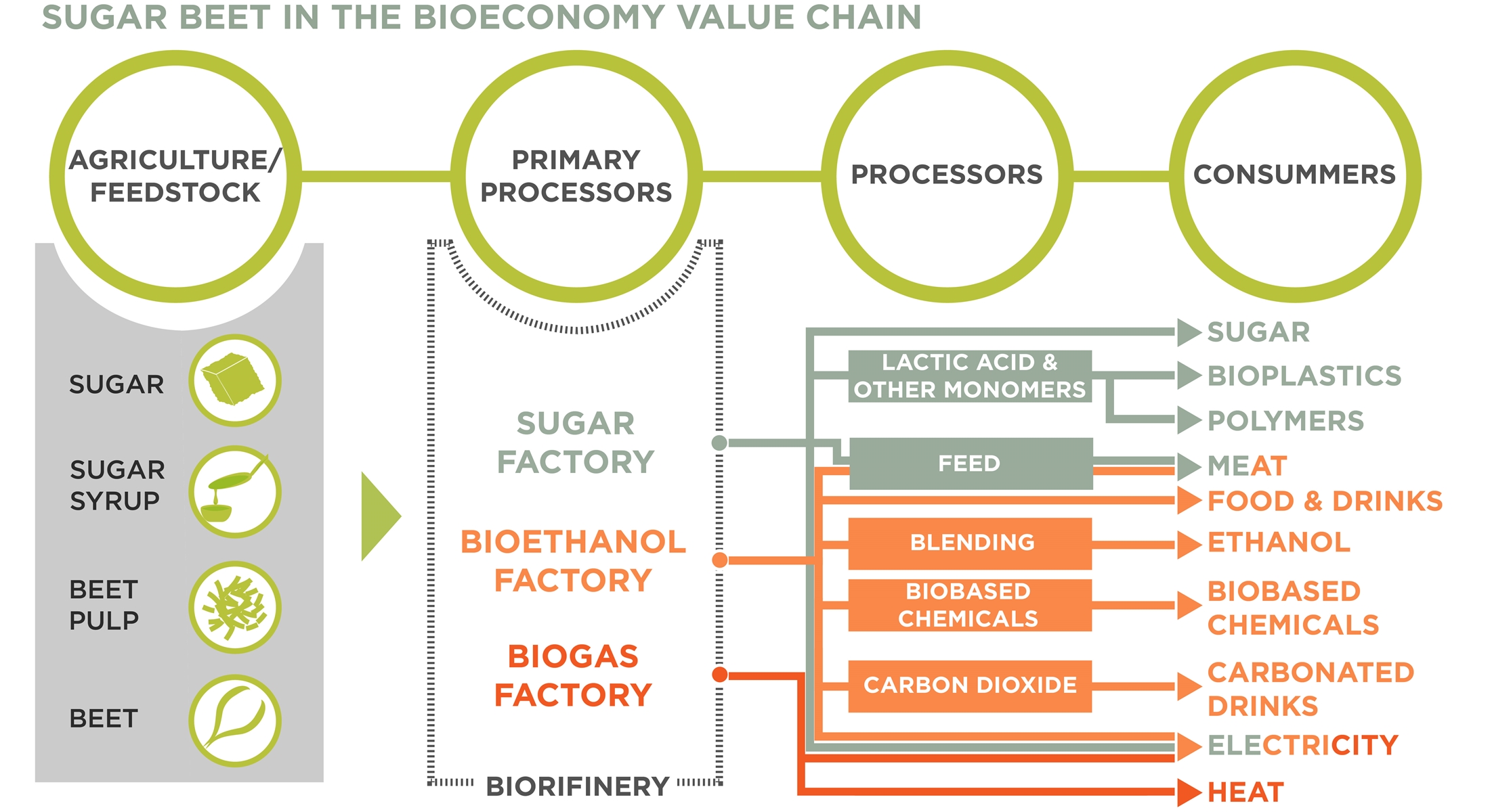 Home [www.cibeeurope.eu]